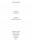 Resumen modelos neuropsicologicos