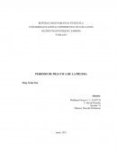 Periodo de practica de prueba