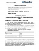 IMPLANTACIÓN DE LA METODOLOGÍA SEIS SIGMA FORMALIZANDO LA MARCA “SOW TEA”