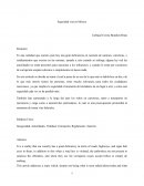 Seguridad vial en México