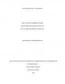 Economía Social y Solidaria