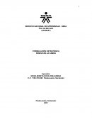 Formulación Estratégica Panelitas la cabra