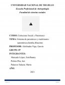 Sistema de parentesco y matrimonio (parentesco,familia,filiación)