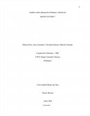 Análisis sobre planeación tributaria. Artículo de opinión Actividad 7
