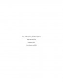 Tica professional y derechos humanos