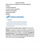 ANÁLISIS FINANCIERO. VISIÓN GLOBAL DE LAS FINANZAS Y EL ANÁLISIS FINANCIERO