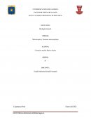 Microscopia y Técnicas microscópicas