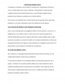 Costos de produccion