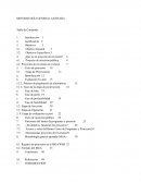 METODOLOGÍA GENERAL AJUSTADA