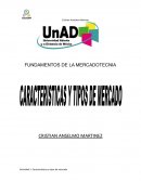 CARACTERISTICAS Y TIPOS DE MERCADO