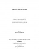 PARQUES NACIONALES DE COLOMBIA