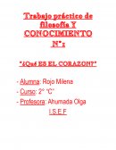 Trabajo práctico de filosofía y conocimiento ¿Qué es el corazon?