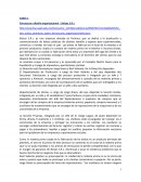 Estructura y diseño organizacional – Bolsas S.R.L