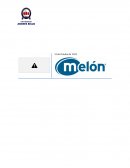 Análisis Monetario Melon S.A