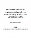 Evidencia Identificar conceptos sobre saberes campesinos y producción agrícola ancestral
