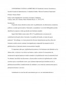 Ensayo sobre Globalización, Economía venezolana y Pandemia