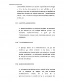 MATERIALES FOTOACTIVOS