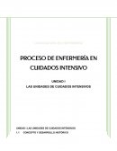 PROCESO DE ENFERMERÍA EN CUIDADOS INTENSIVO