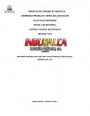 PROCESO PRODUCTIVO DE UNA PLANTA PRODUCTORA DE SAL INDUSALCA, C.A