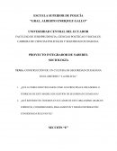 CONSTRUCCIÓN DE UN CULTURA DE SEGURIDAD CIUDADANA EN EL DISTRITO " LA DELICIA "