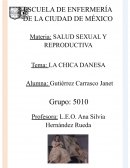 Análisis de la chica danesa