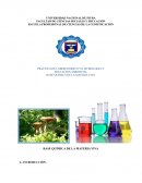 PRACTICA DE LABORATORIO N° 03 DE BIOLOGIA Y EDUCACIÓN AMBIENTAL