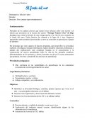 Secuencia Didáctica: El fondo del mar