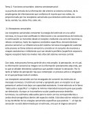 Funciones sensoriales: sistema somatosensorial