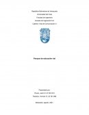 Parques de educación vial