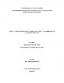 LA TELEVISION COMO INFLUENCIADOR DE CONDUCTAS AGRESIVAS EN LA SEGUNDA INFANCIA