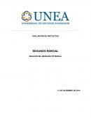 ANALISIS DEL MERCADO POTENCIAL