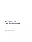 MyCompany S.A. PLAN de MARKETING