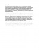 CONCLUSIÓN LINEA DEL TEMPO