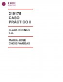 CASO PRÁCTICO II – MARCO LEGAL MERCANTIL. EMPRESA: BLACK INGENIUS, S.A