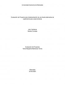 Evaluación de Proyecto para implementación de una fuente alternativa de suplemento para vacas lecheras. Página 1