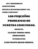 LOS PEQUEÑOS PROBLEMAS DE NUESTRA COMUNIDAD.