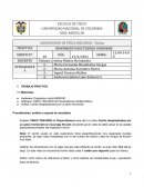 LABORATORIO DE FÍSICA MECÁNICA - Online