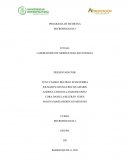 LABORATORIO DE MORFOLOGIA BACTERIANA