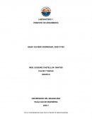 LABORATORIO 1. PRINCIPIO DE ARQUIMEDES