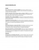 Analisis Horizontal VivoCorp 2019