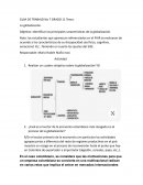 Guia de trabajo. La globalización