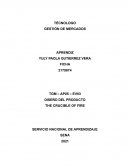 DISEÑO DEL PRODUCTO THE CRUCIBLE OF FIRE