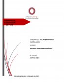 REPARACION DEL DAÑO