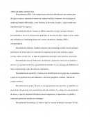 TIPOS DE MERCADOTECNIA