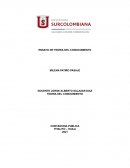 ENSAYO DE TEORIA DEL CONOCOMIENTO