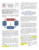 Economía mixta y socialismo