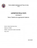 DISEÑOS DE ORGANIZACIÓN BÁSICOS