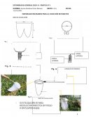 MATERIALES NECESARIOS PARA LA COLECCIÓN DE INSECTOS