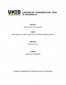 MAPA MENTAL DE INNOVACIÓN EN EL ENTORNO ORGANIZACIONAL