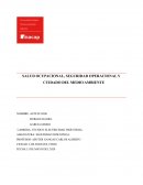 SALUD OCUPACIONAL, SEGURIDAD OPERACIONAL Y CUIDADO DEL MEDIO AMBIENTE